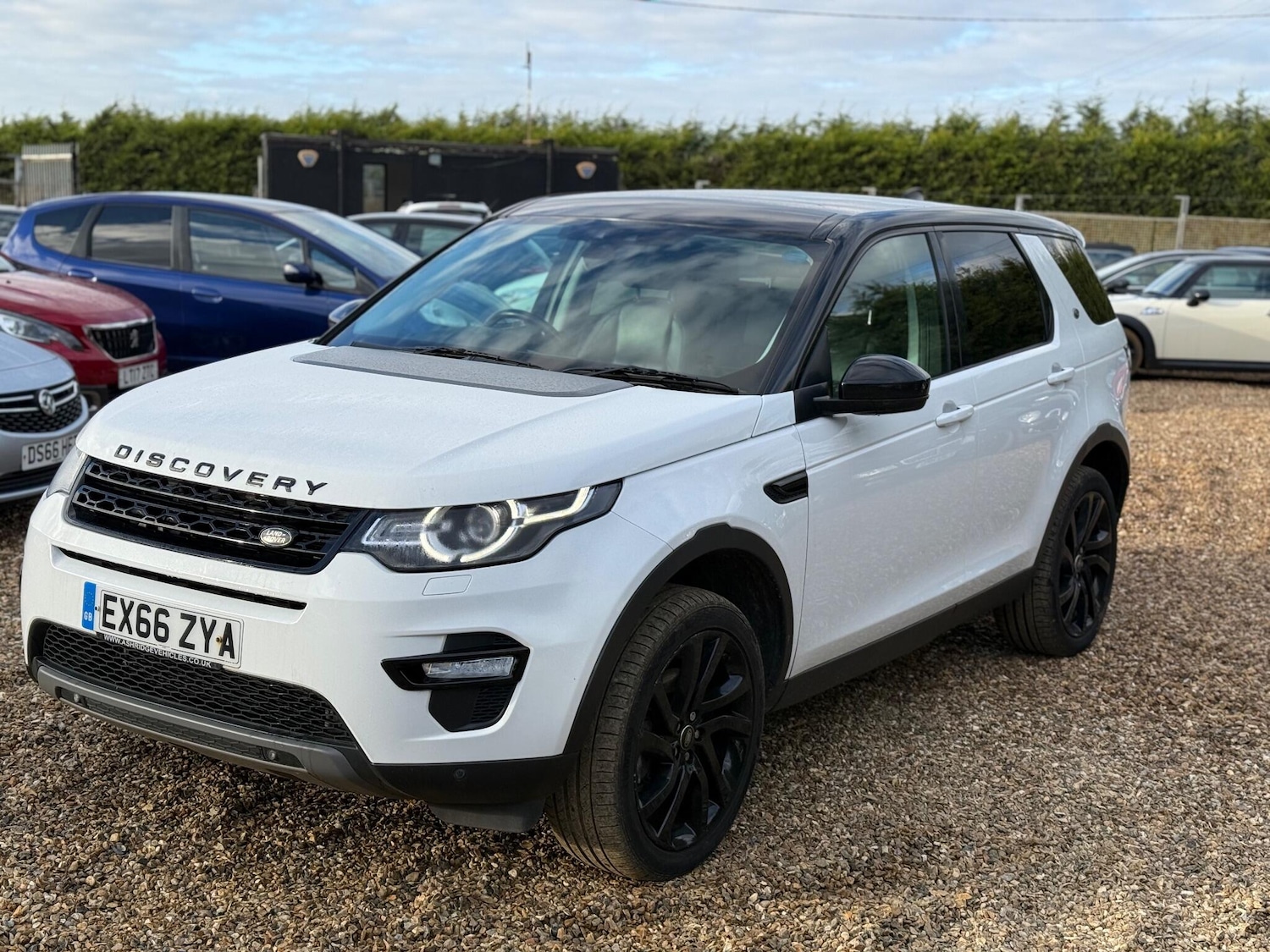 Used Land Rover Discovery Sport 2016 for sale - 77271344: Photo 14