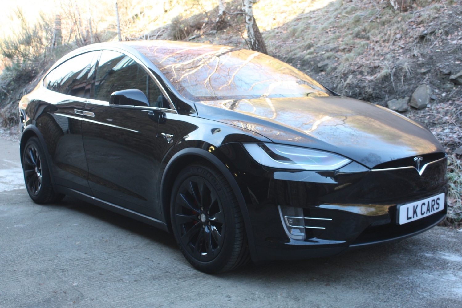 Used Tesla Model X 2020 for sale - 76662760: Photo 1