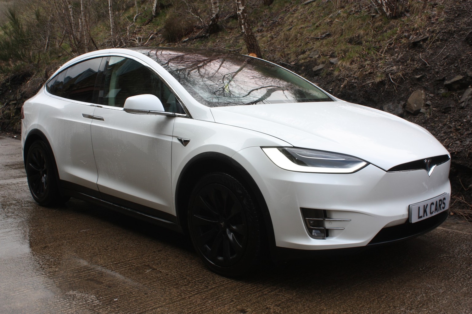 Used Tesla Model X 2017 for sale - 78070604: Photo 1