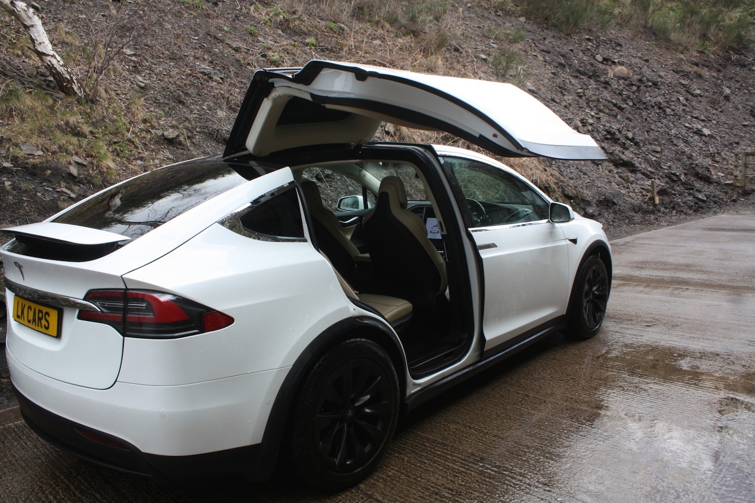 Used Tesla Model X 2017 for sale - 78070604: Photo 6