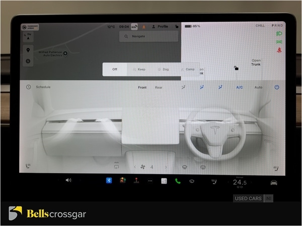 Used Tesla Model 3 2021 for sale - 77511880: Photo 21