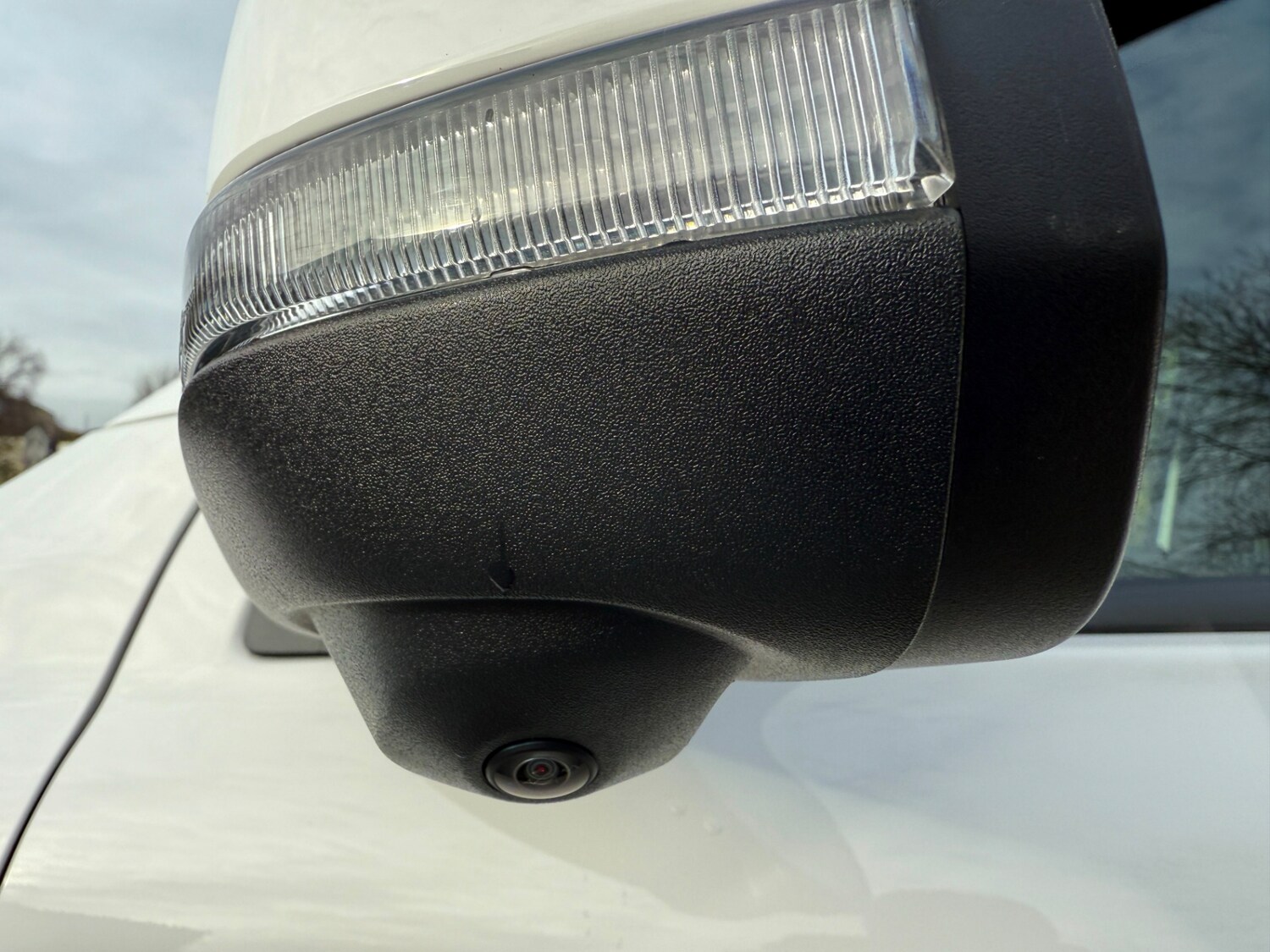 Used Ford Ranger 2024 for sale - 76748979: Photo 12