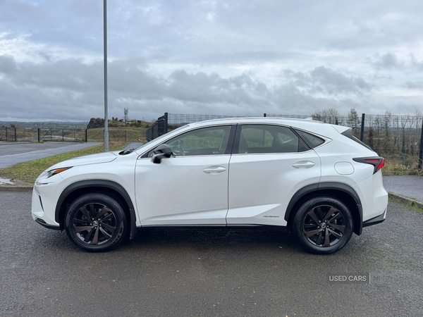 Used Lexus NX 2018 for sale - 76977137: Photo 7