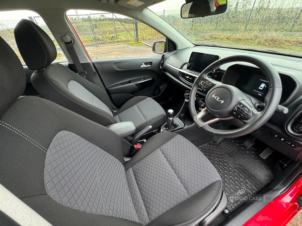 Used Kia Picanto 2024 for sale - 76389442: Photo 11