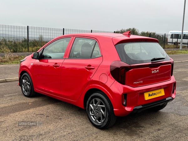 Used Kia Picanto 2024 for sale - 76389442: Photo 7