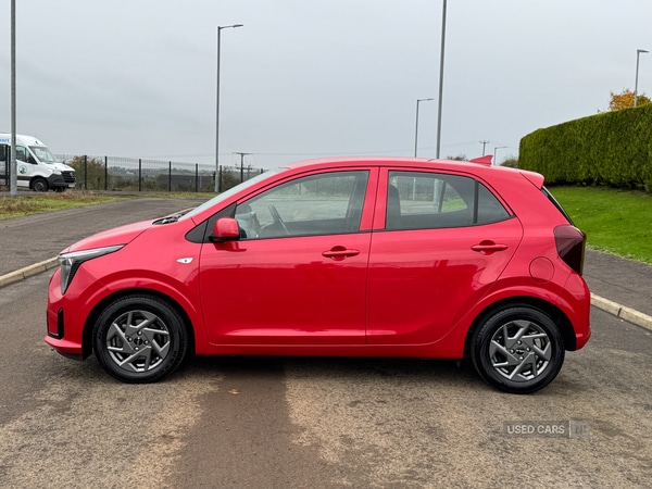 Used Kia Picanto 2024 for sale - 76389442: Photo 8