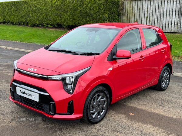 Used Kia Picanto 2024 for sale - 76389442: Photo 9