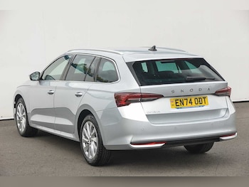 Used Skoda Octavia 2025 for sale - 76679019: Photo