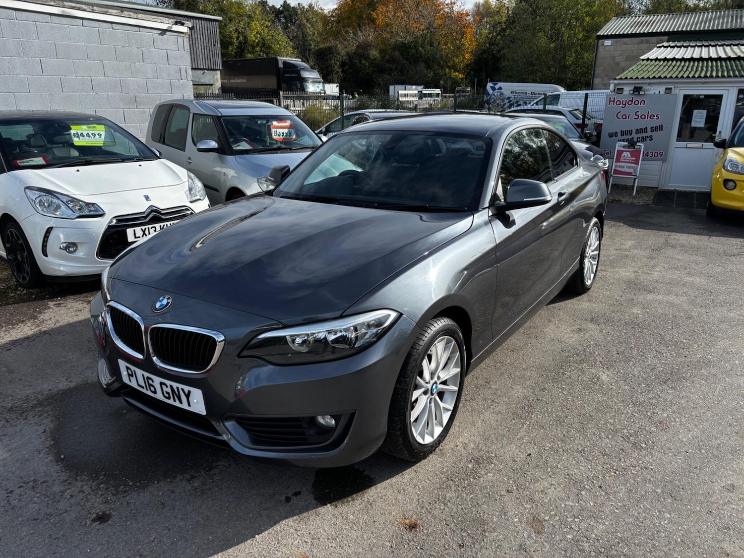 Used BMW 2 Series 2016 for sale - 76315145: Photo 1
