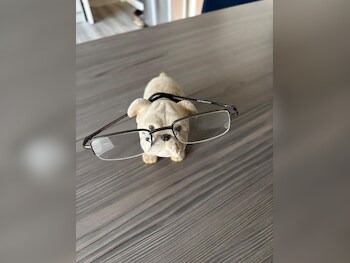 Used DS Automobiles DS 3 2015 for sale - 78099985: Photo