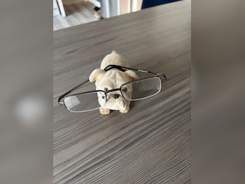 Used Fiat 500C 2011 for sale - 78127527: Photo