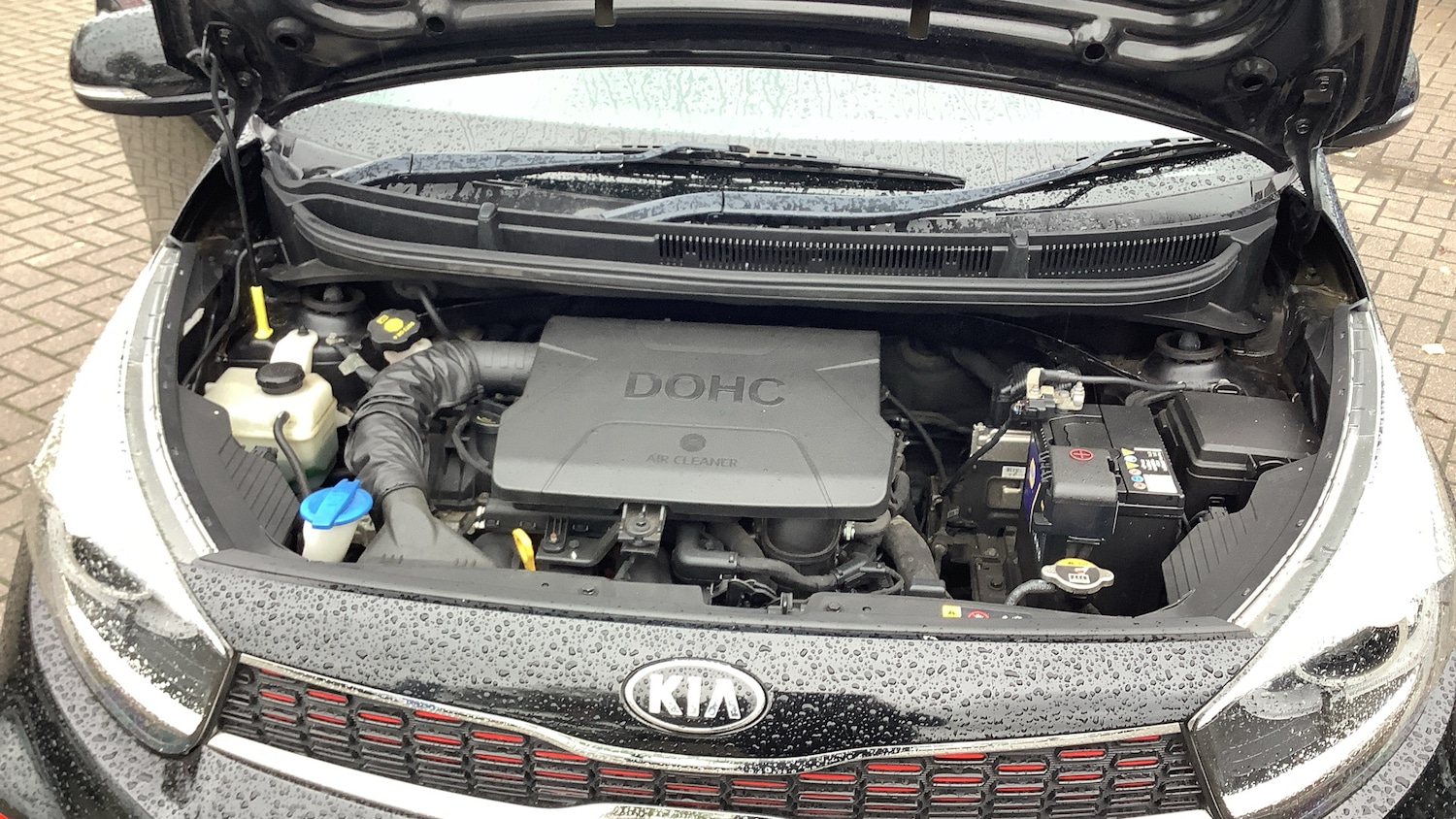 Used Kia Picanto 2017 for sale - 76205937: Photo 8