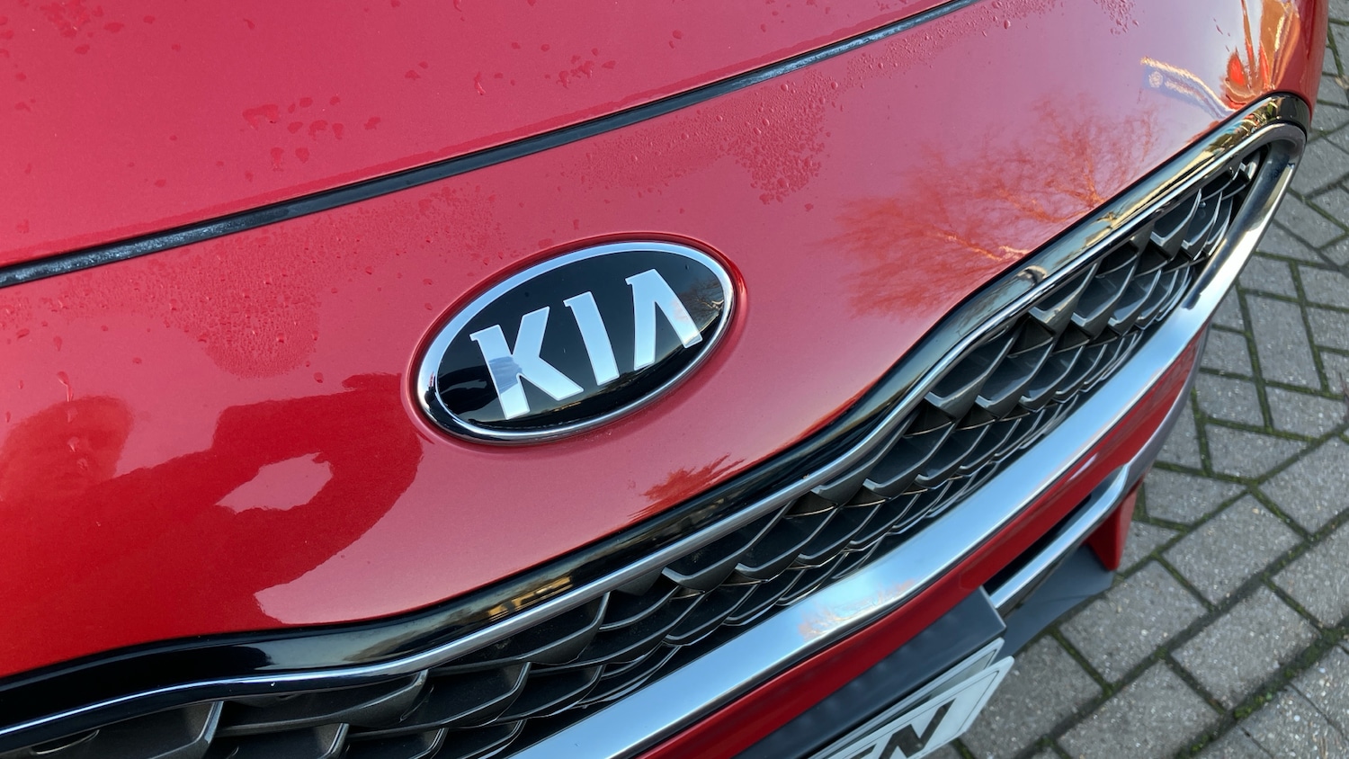 Used Kia Sportage 2019 for sale - 76782537: Photo 39