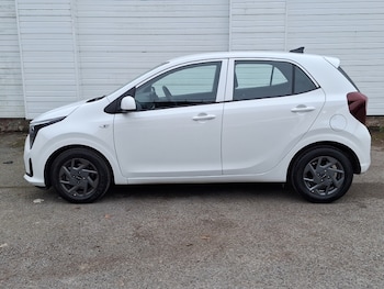 Used Kia Picanto 2025 for sale - 77817492: Photo