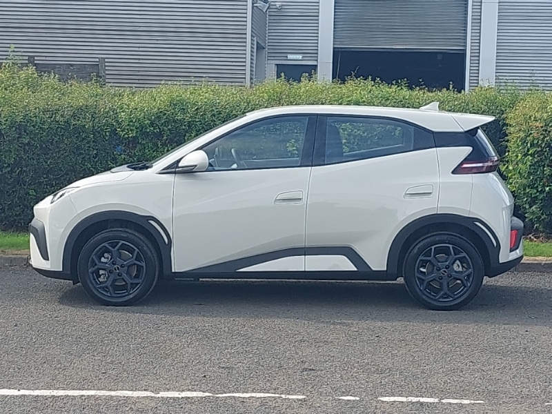 Used BYD Dolphin 2025 for sale - 76555711: Photo 4