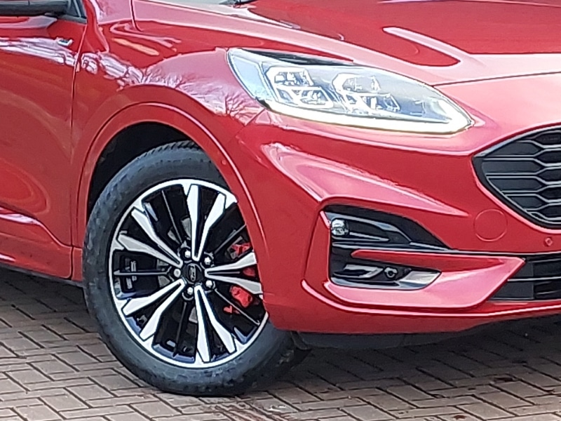 Used Ford Kuga 2024 for sale - 77434094: Photo 9