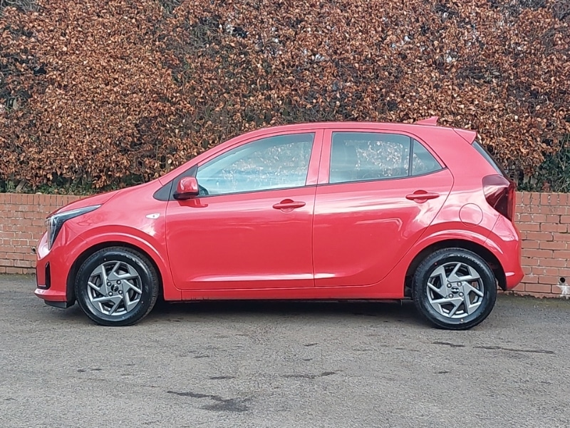 Used Kia Picanto 2024 for sale - 77670047: Photo 4