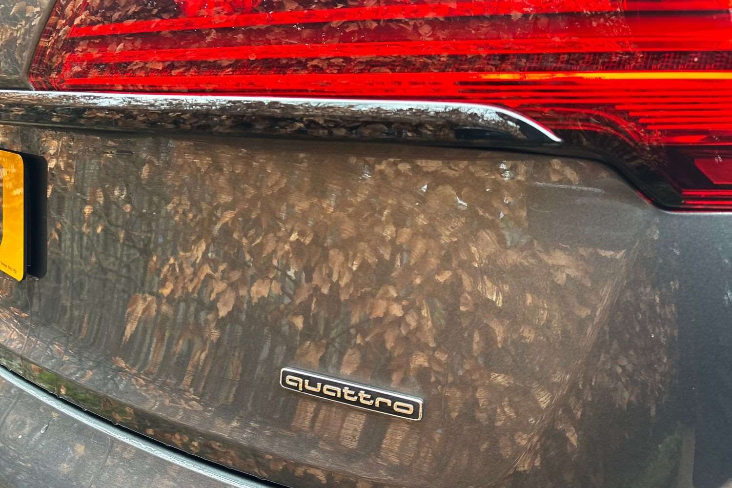 Used Audi Q5 2023 for sale - 77552992: Photo 12