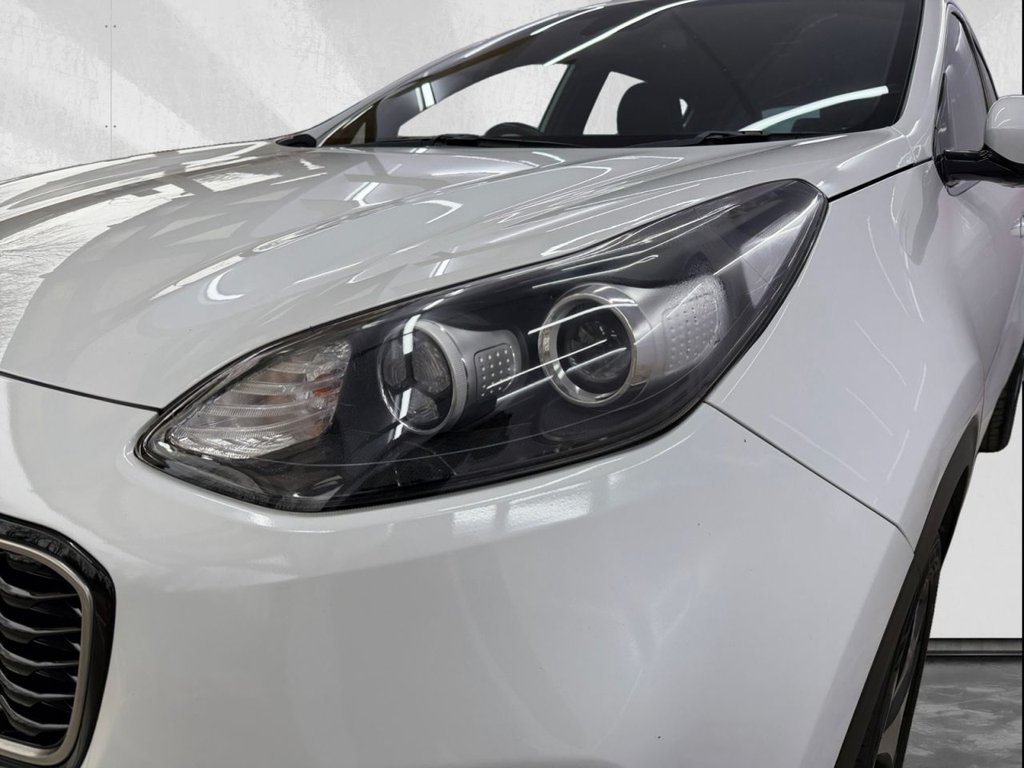 Used Kia Sportage 2017 for sale - 77594577: Photo 15