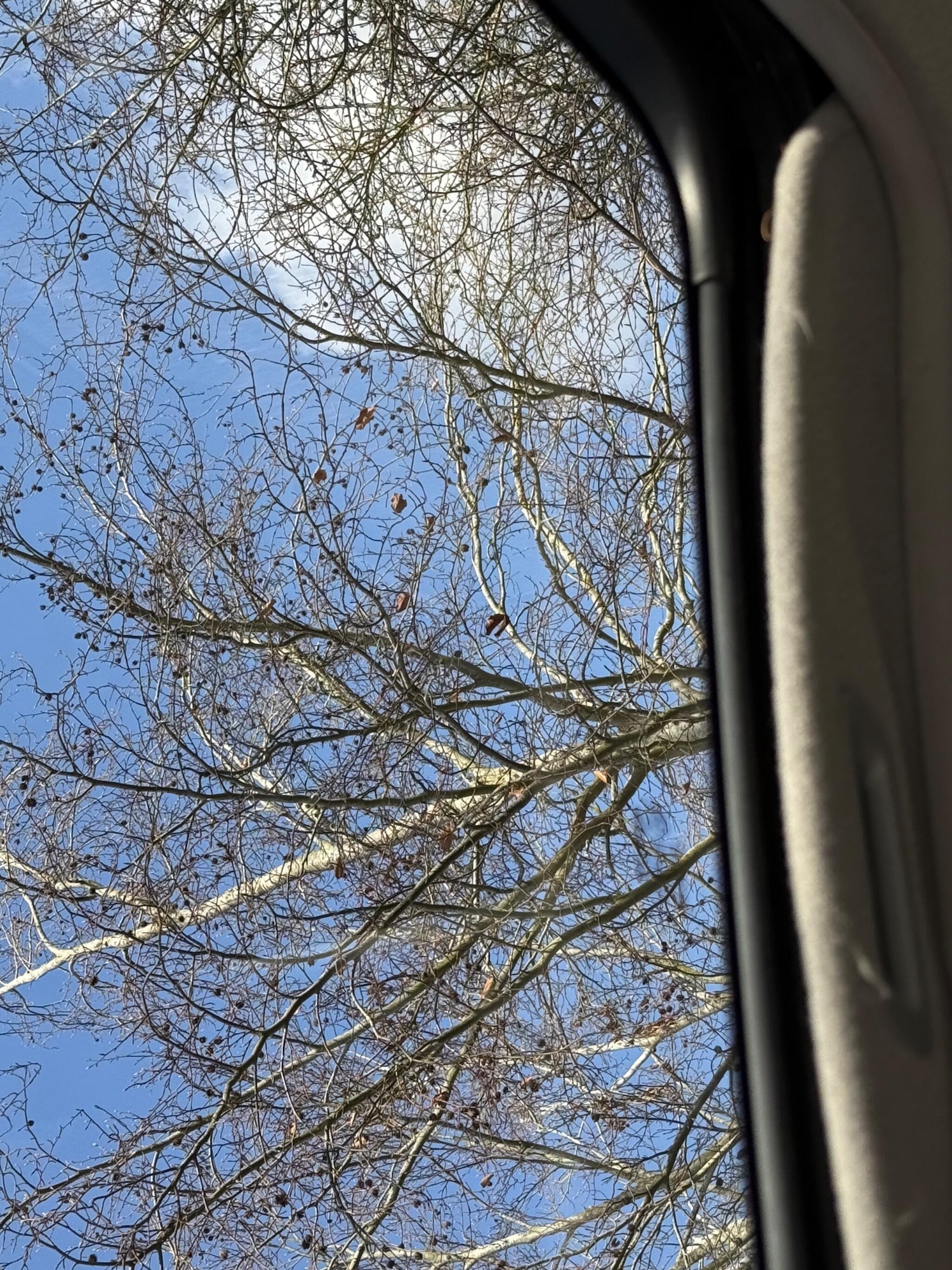 Used Honda CR-V 2006 for sale - 77839172: Photo 26