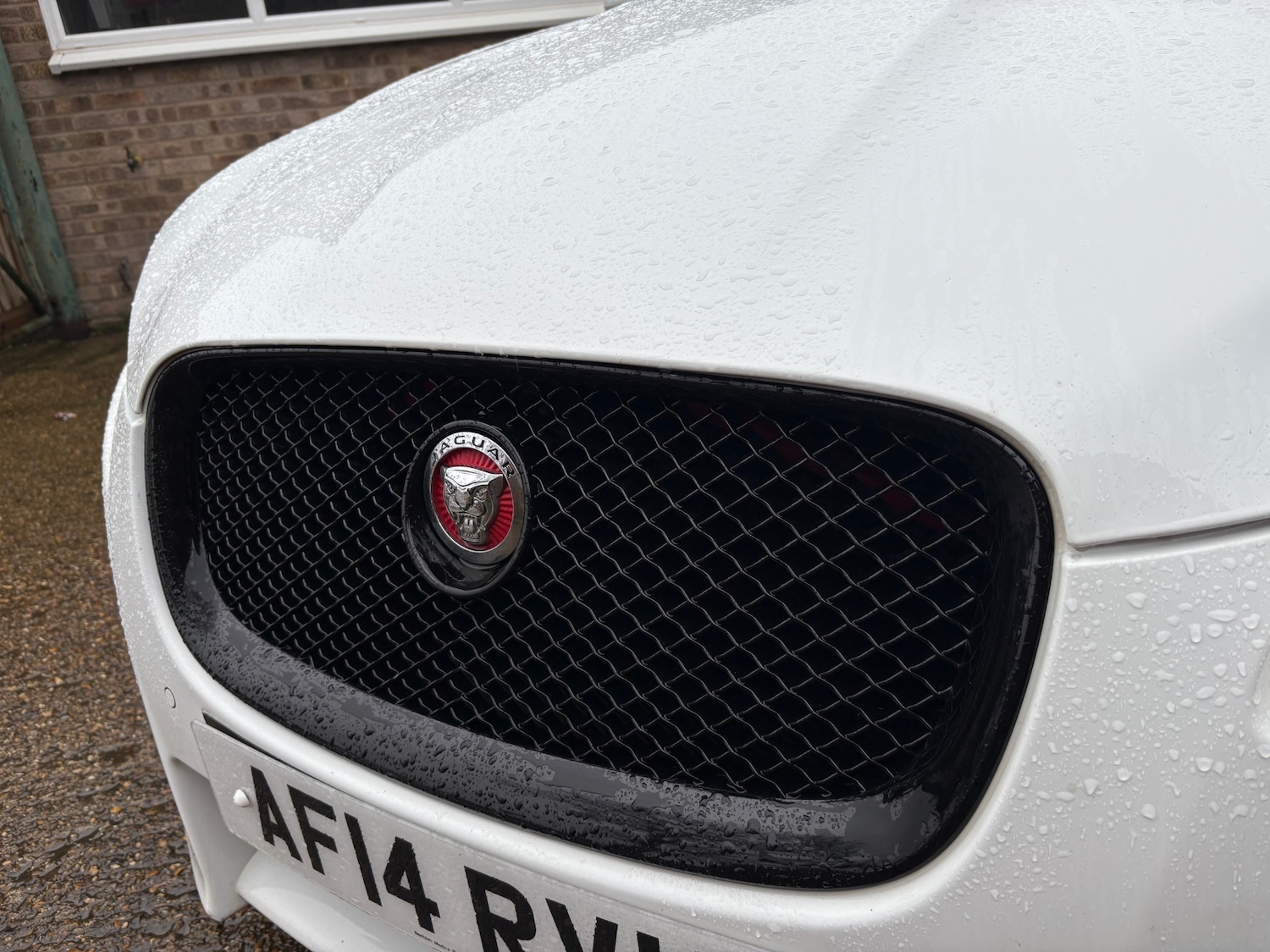 Used Jaguar XF 2014 for sale - 77476679: Photo 5