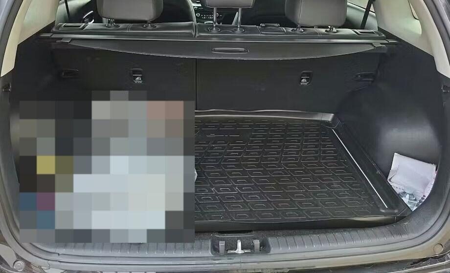 Used Kia Niro 2019 for sale - 78084079: Photo 10