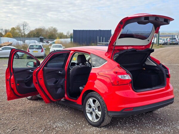 Used Ford Focus 2012 for sale - 75426501: Photo 26