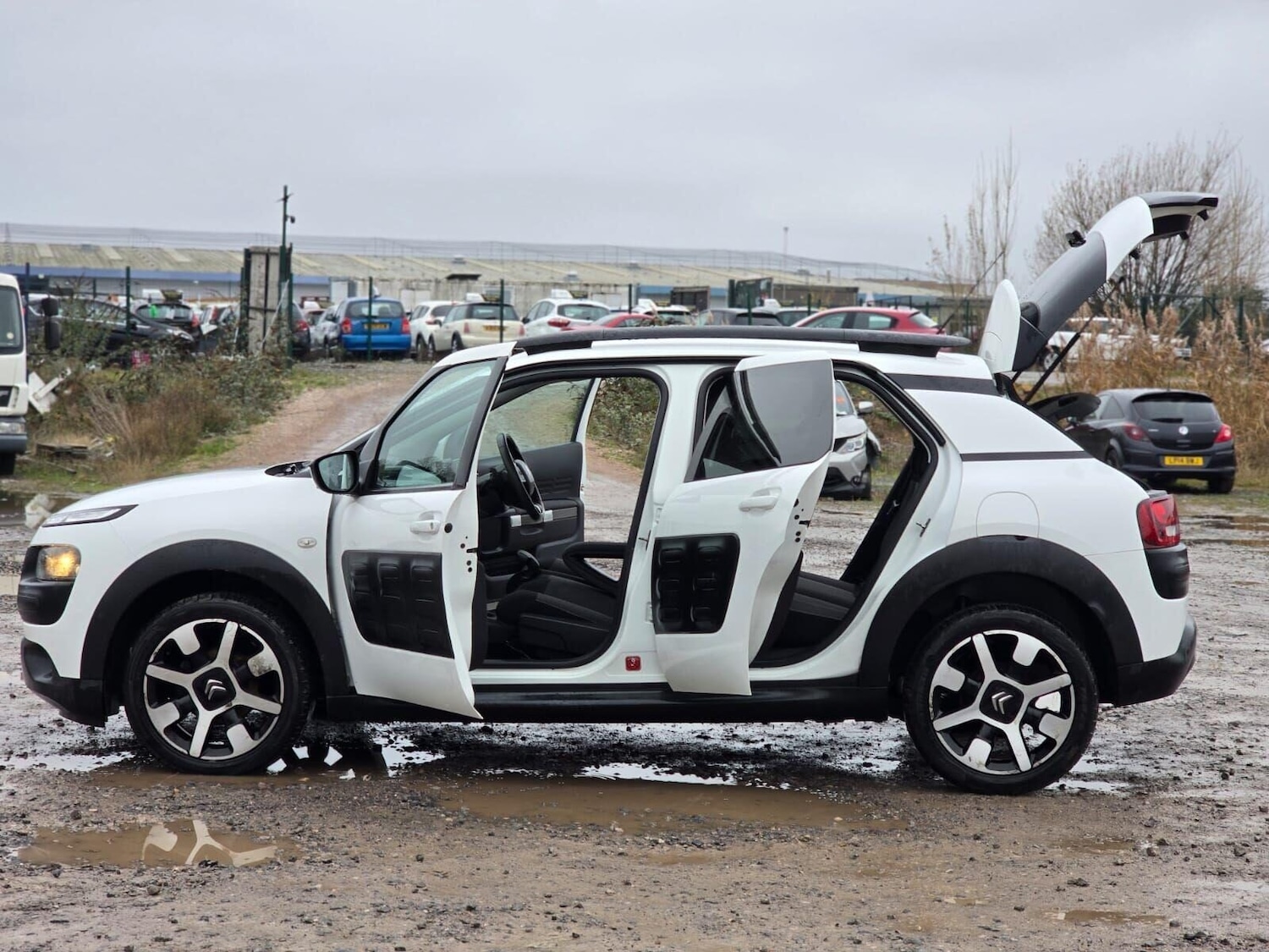 Used Citroen C4 Cactus 2015 for sale - 77014129: Photo 13