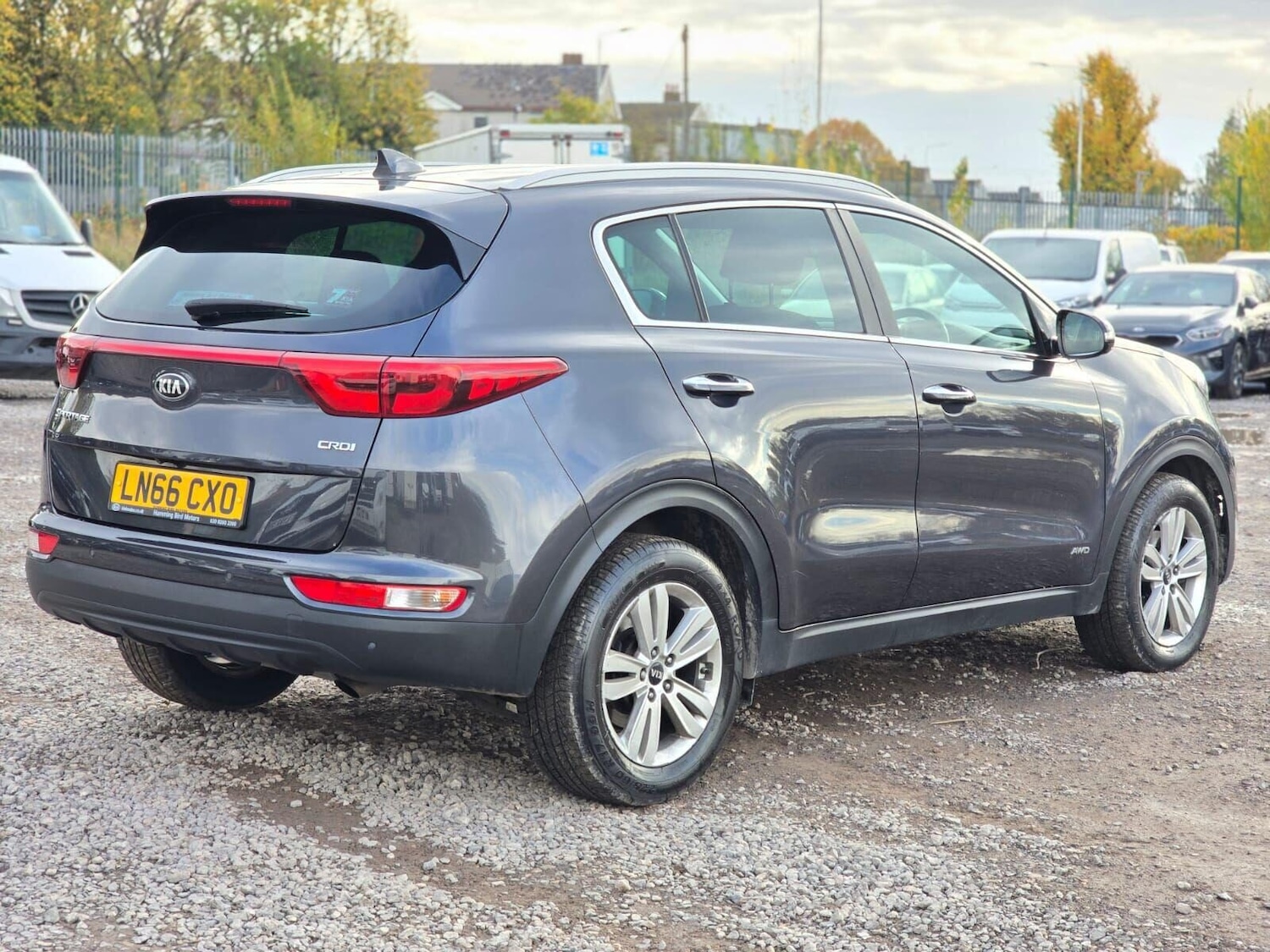 Used Kia Sportage 2016 for sale - 76292370: Photo 11