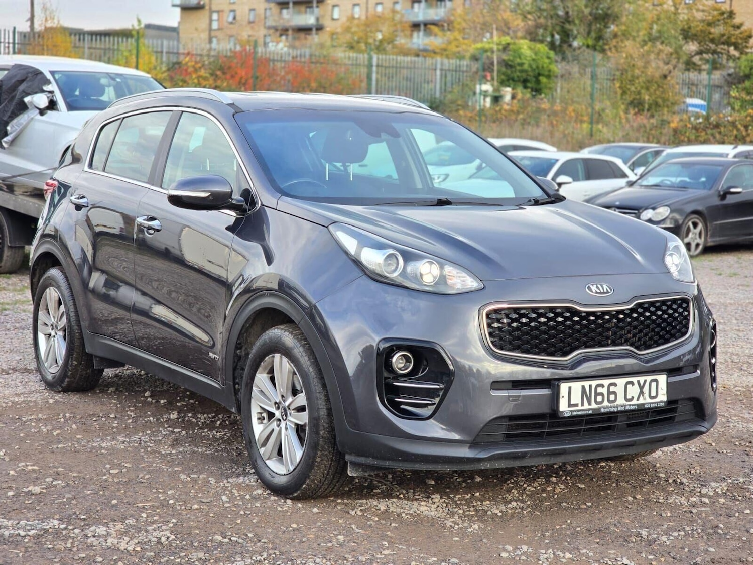 Used Kia Sportage 2016 for sale - 76292370: Photo 6