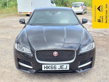 Used Jaguar XF 2017 for sale - 78906806: Photo
