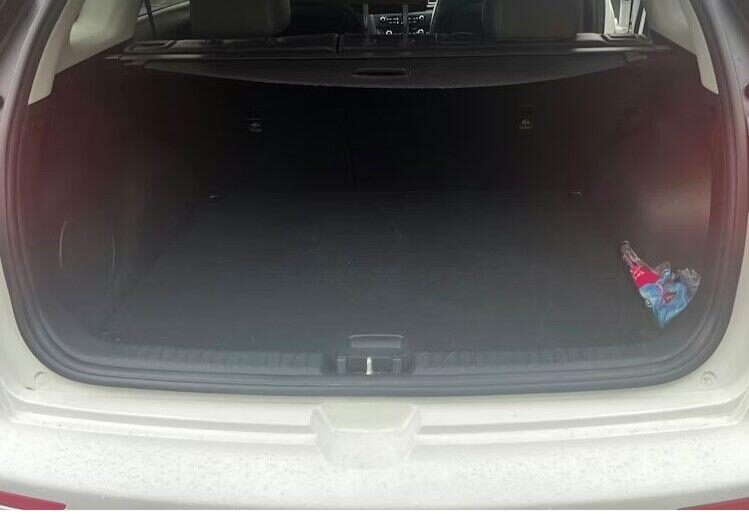 Used Kia Niro 2018 for sale - 76526977: Photo 13