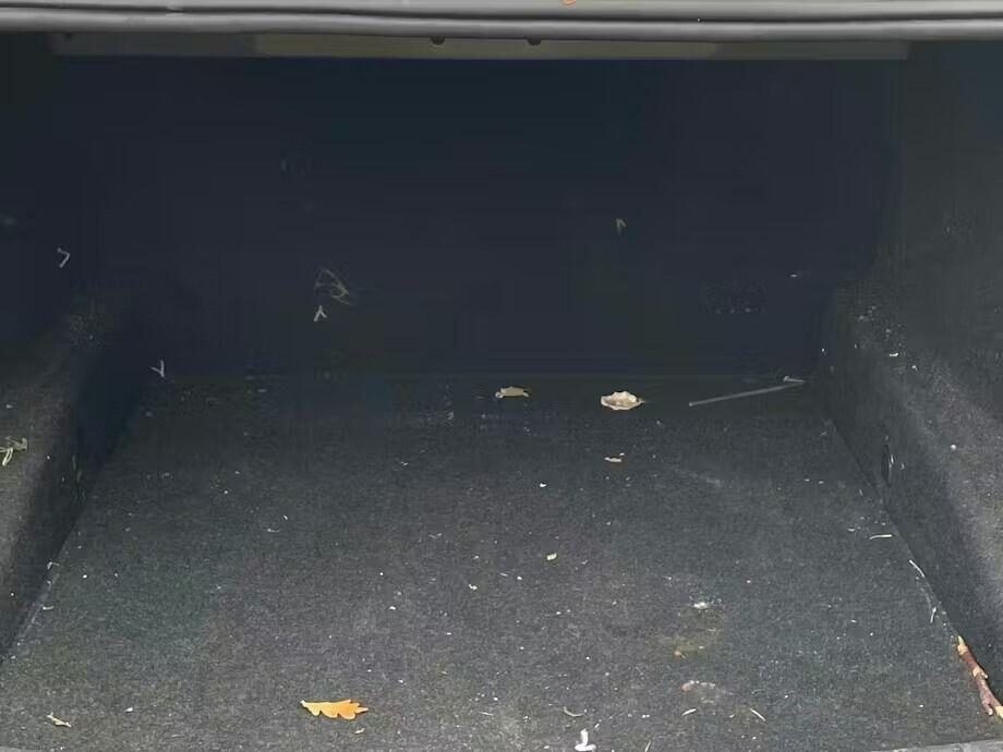 Used BMW 5 Series 2018 for sale - 77335909: Photo 8