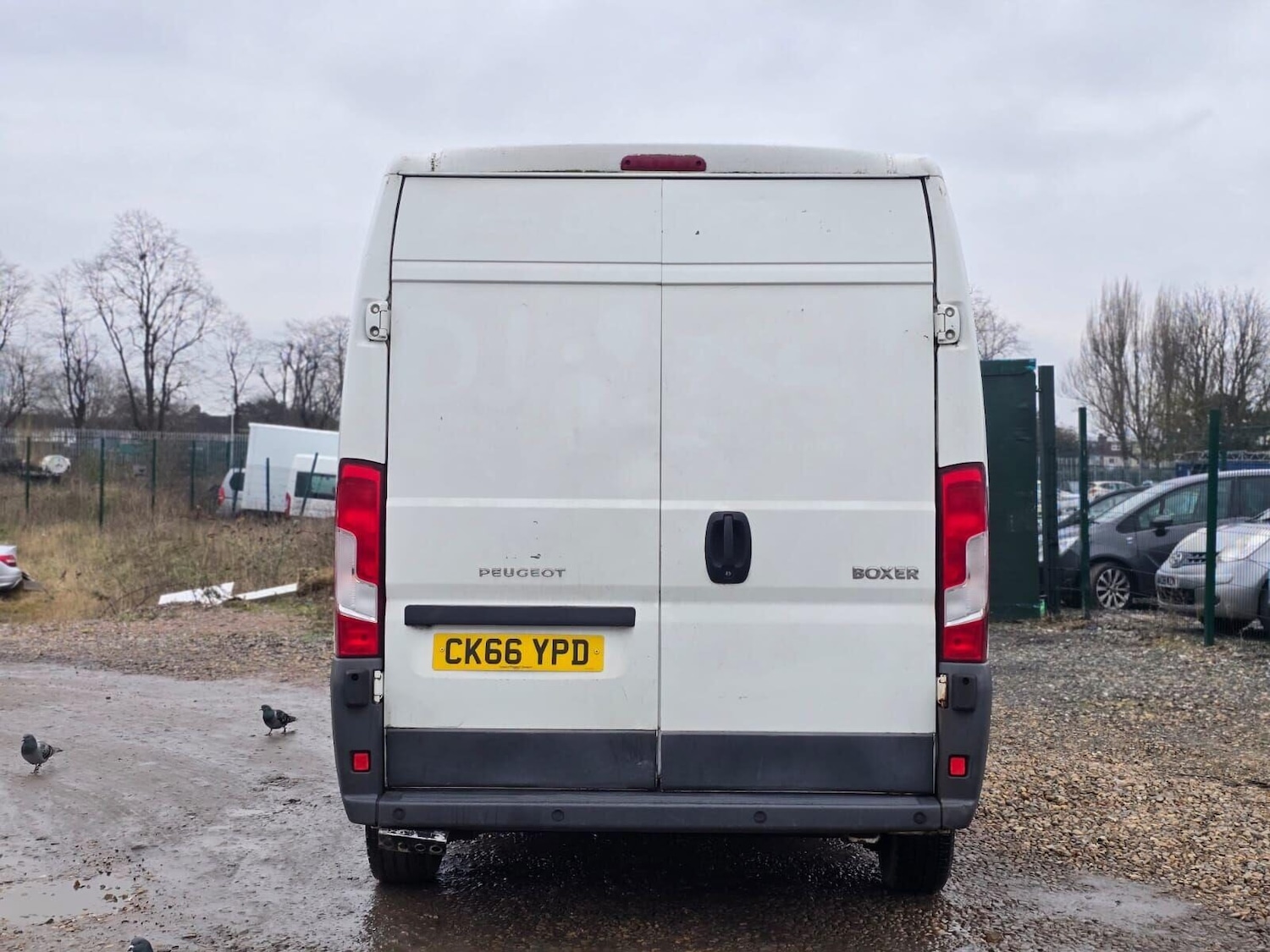 Used Peugeot Boxer 2016 for sale - 78144569: Photo 14