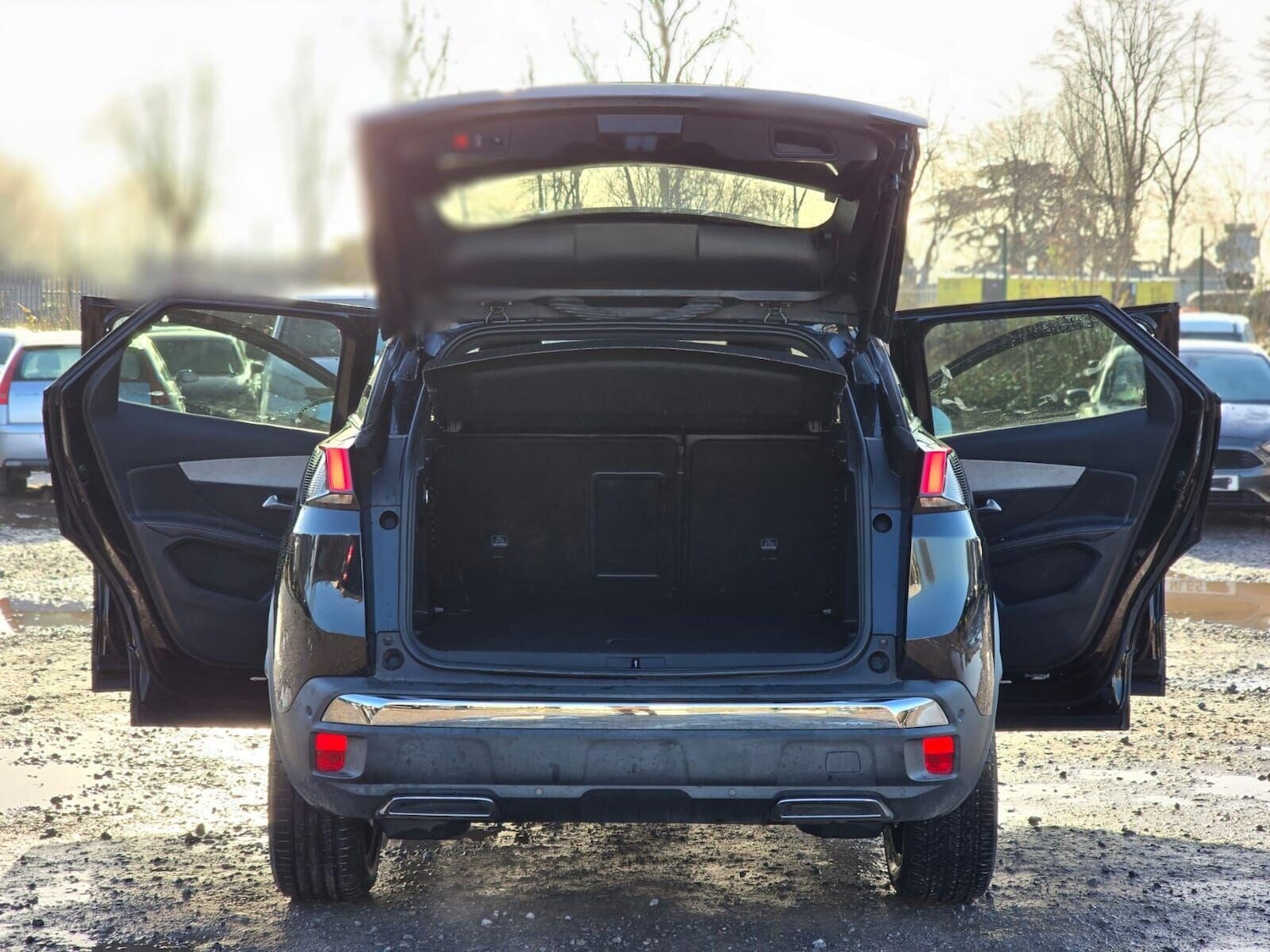 Used Peugeot 3008 2018 for sale - 76931145: Photo 61