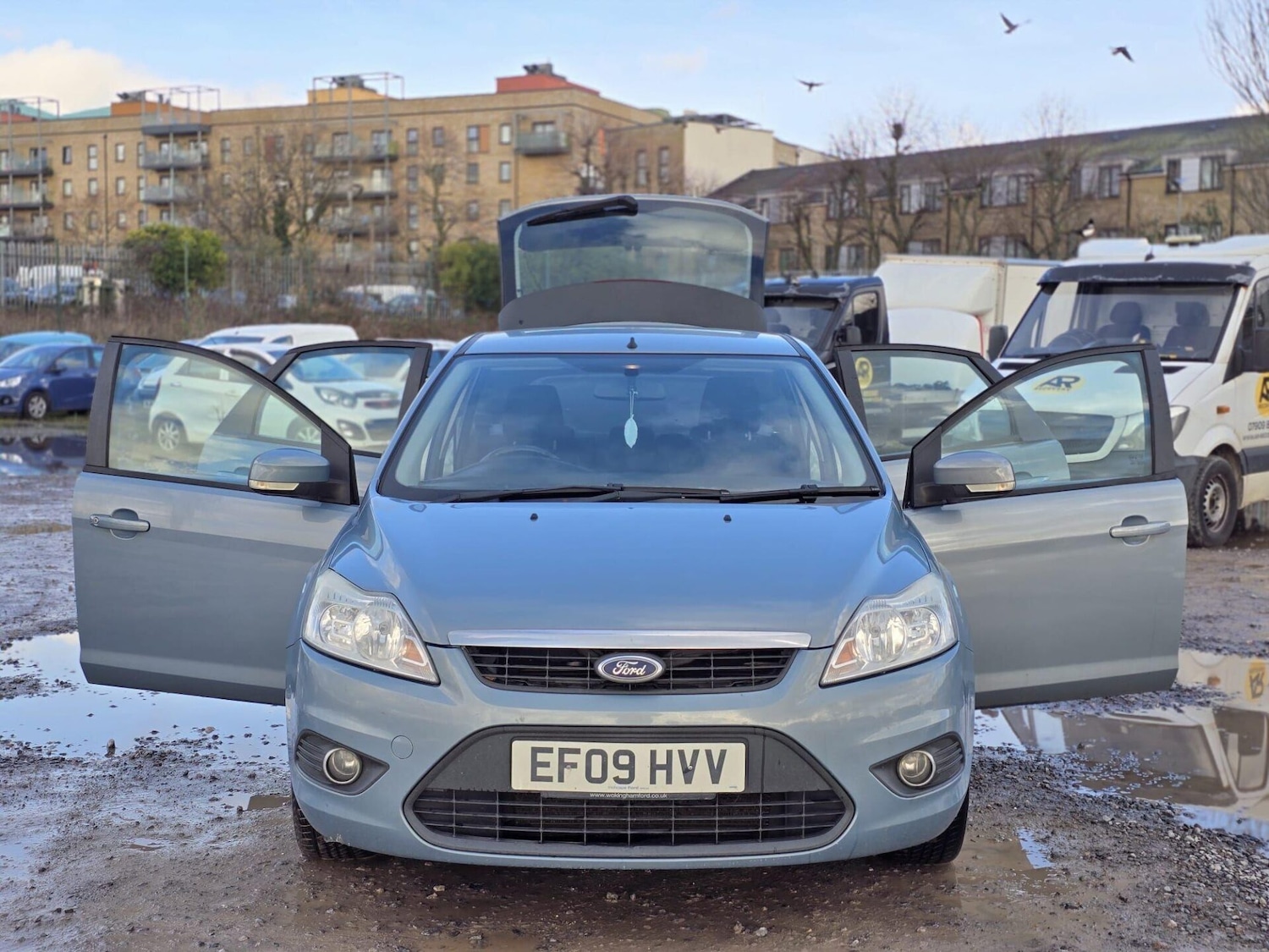 Used Ford Focus 2009 for sale - 77365441: Photo 7