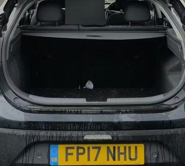 Used Hyundai IONIQ 2017 for sale - 77901059: Photo 12