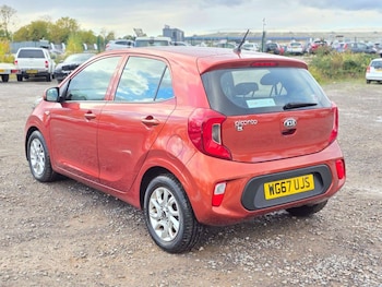Used Kia Picanto 2017 for sale - 78907065: Photo