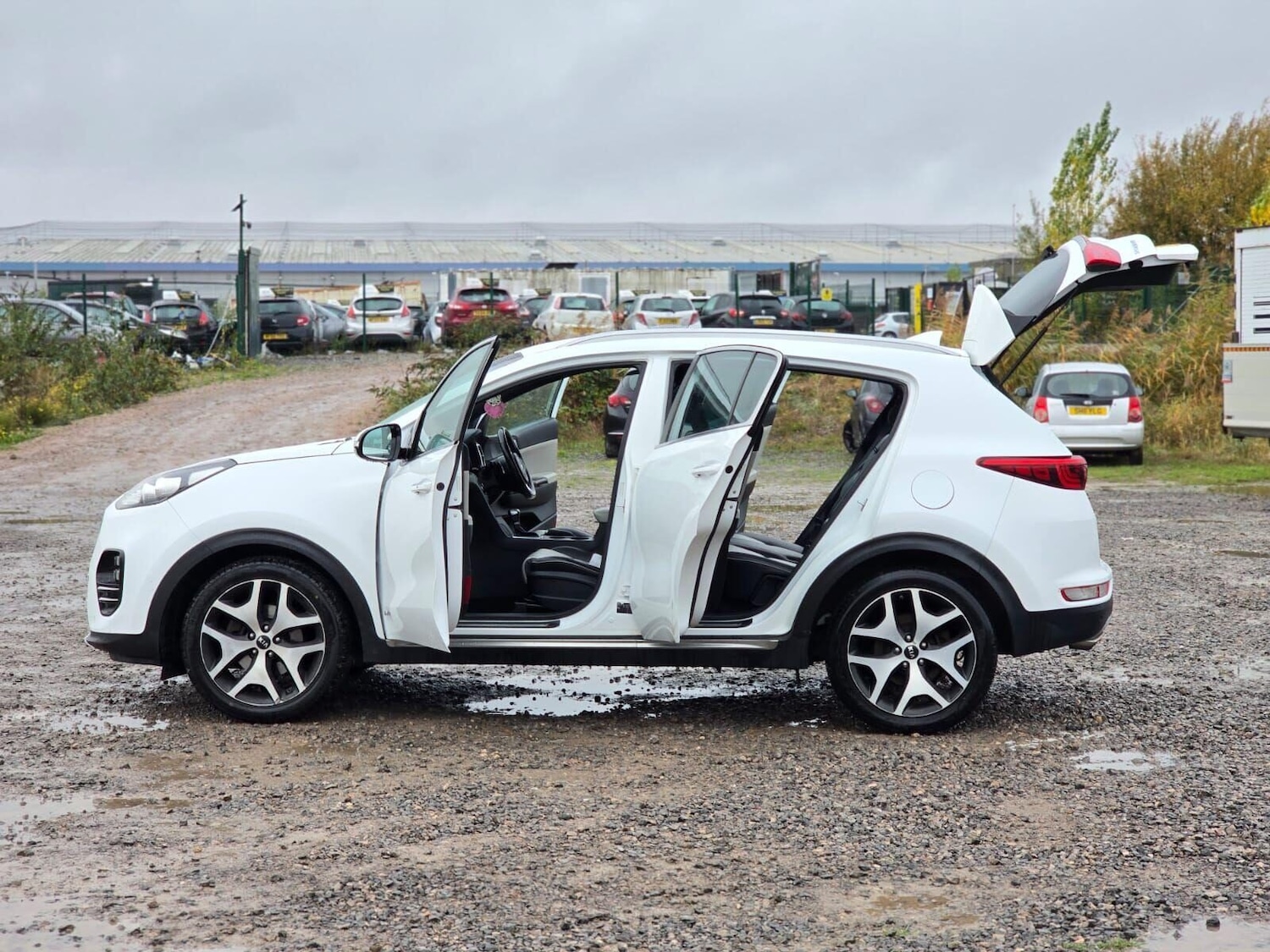 Used Kia Sportage 2016 for sale - 76304986: Photo 13