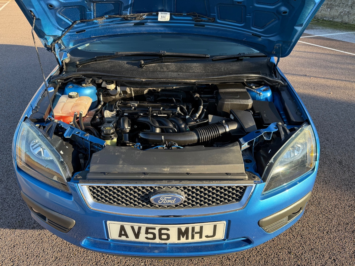 Used Ford Focus 2006 for sale - 77079281: Photo 14