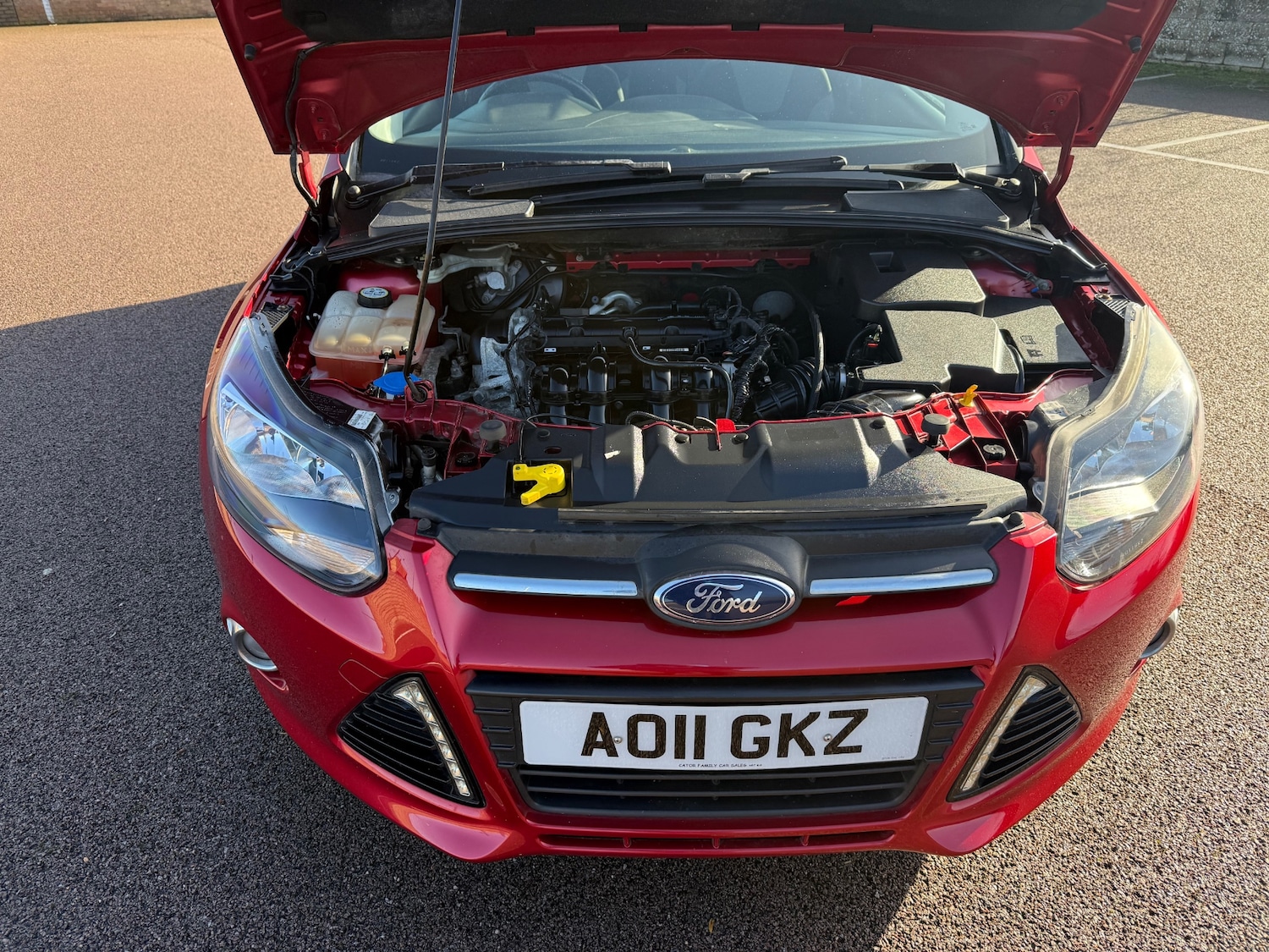 Used Ford Focus 2011 for sale - 77604934: Photo 21