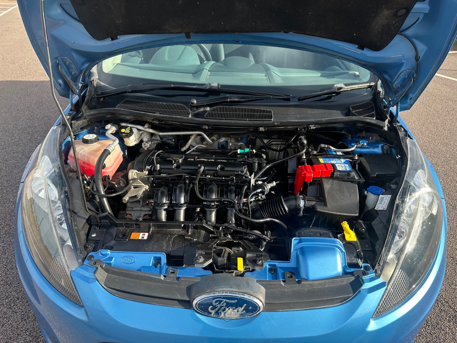 Used Ford Fiesta 2009 for sale - 76449766: Photo 13