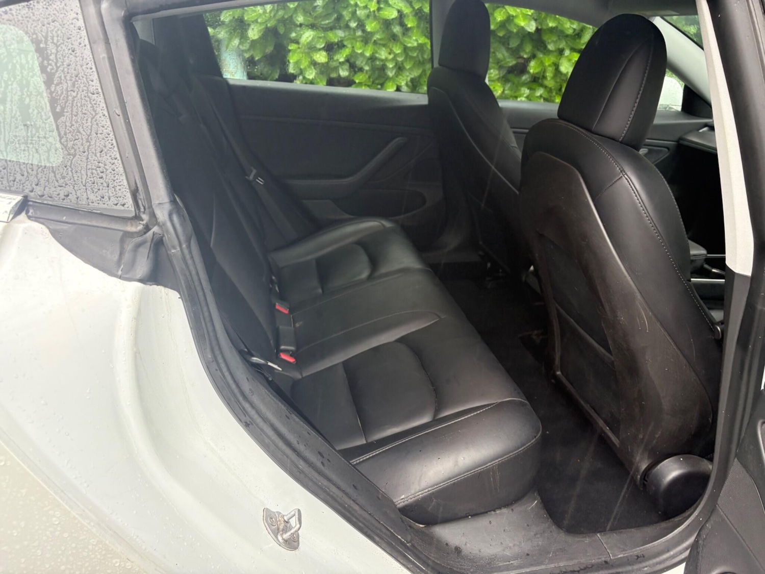 Used Tesla Model 3 2020 for sale - 77218902: Photo 11