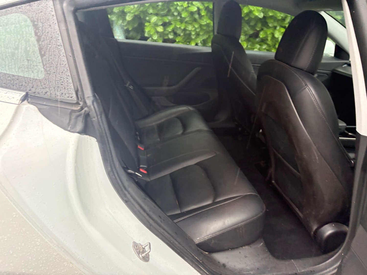 Used Tesla Model 3 2020 for sale - 77218902: Photo 48