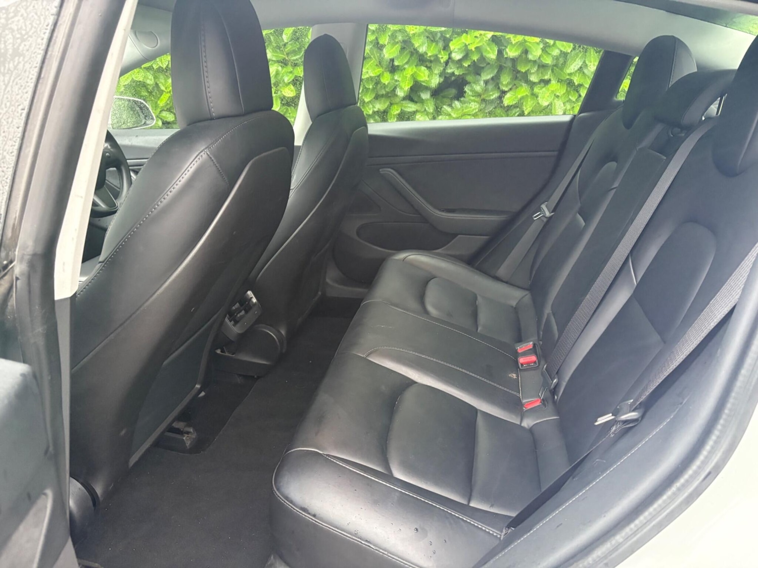 Used Tesla Model 3 2020 for sale - 77218902: Photo 56