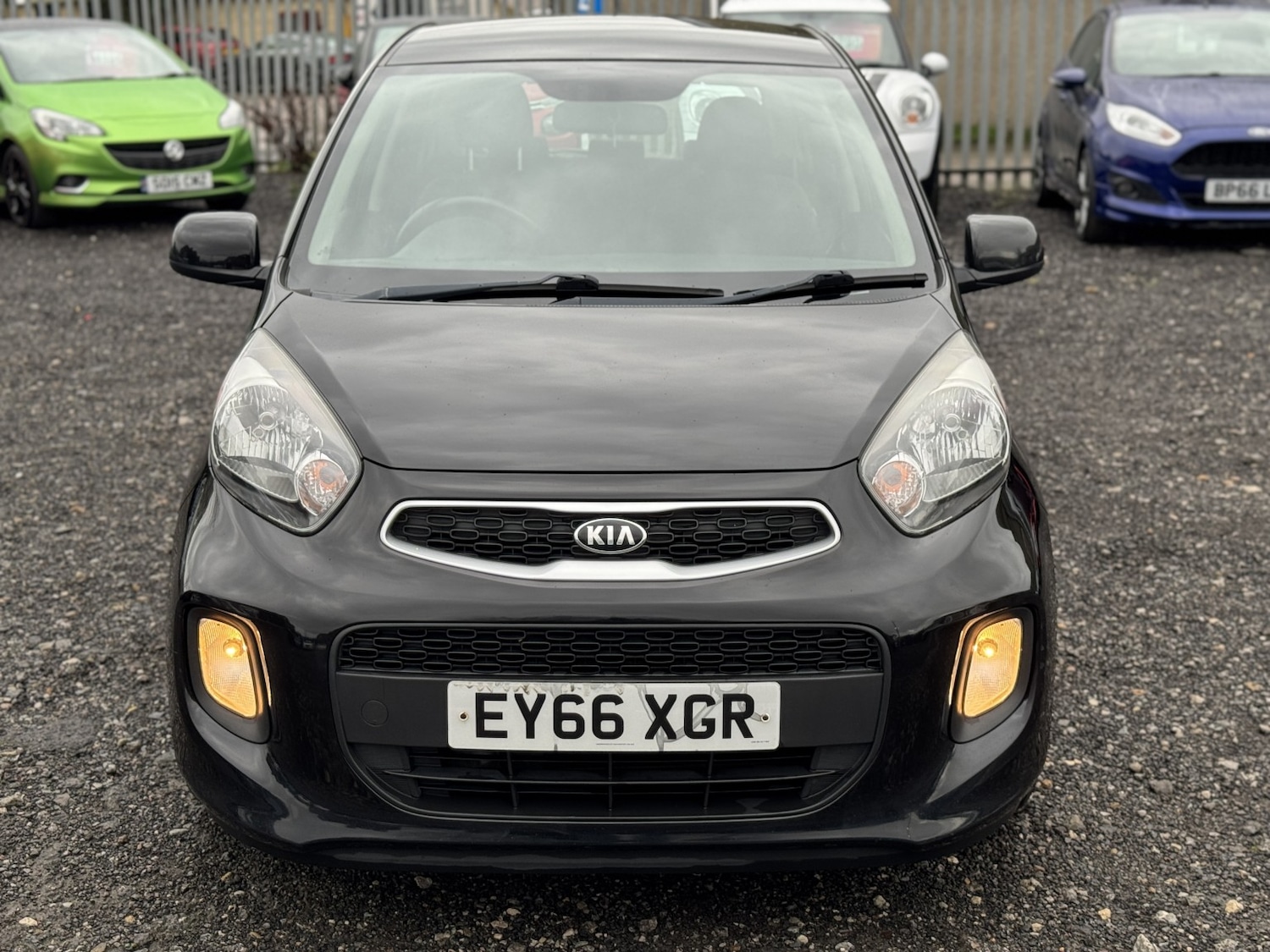 Used Kia Picanto 2016 for sale - 76588460: Photo 10