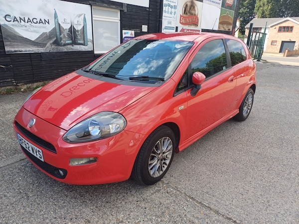 Used Fiat Punto 2013 for sale - 75263184: Photo 1