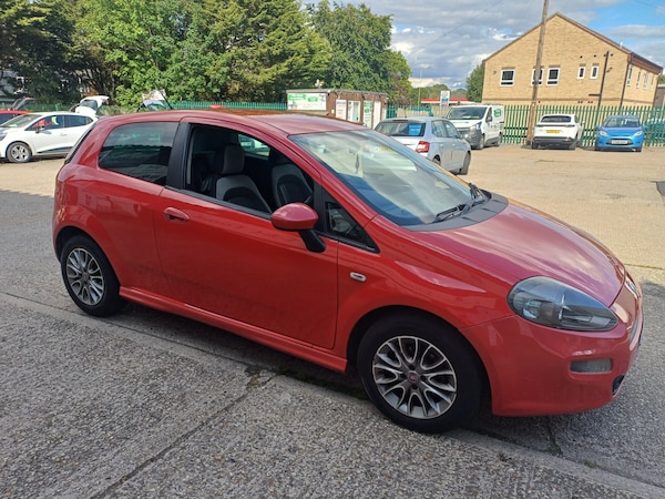 Used Fiat Punto 2013 for sale - 75263184: Photo 3