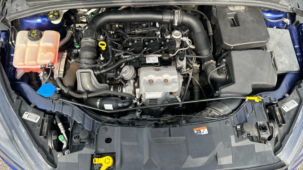 Used Ford Focus 2018 for sale - 76079455: Photo 16
