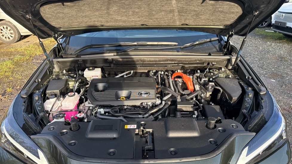 Used Lexus NX 2025 for sale - 76894807: Photo 16